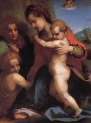 Andrea del Sarto The Virgin and Child with St. John childhood, as well as two angels china oil painting reproduction